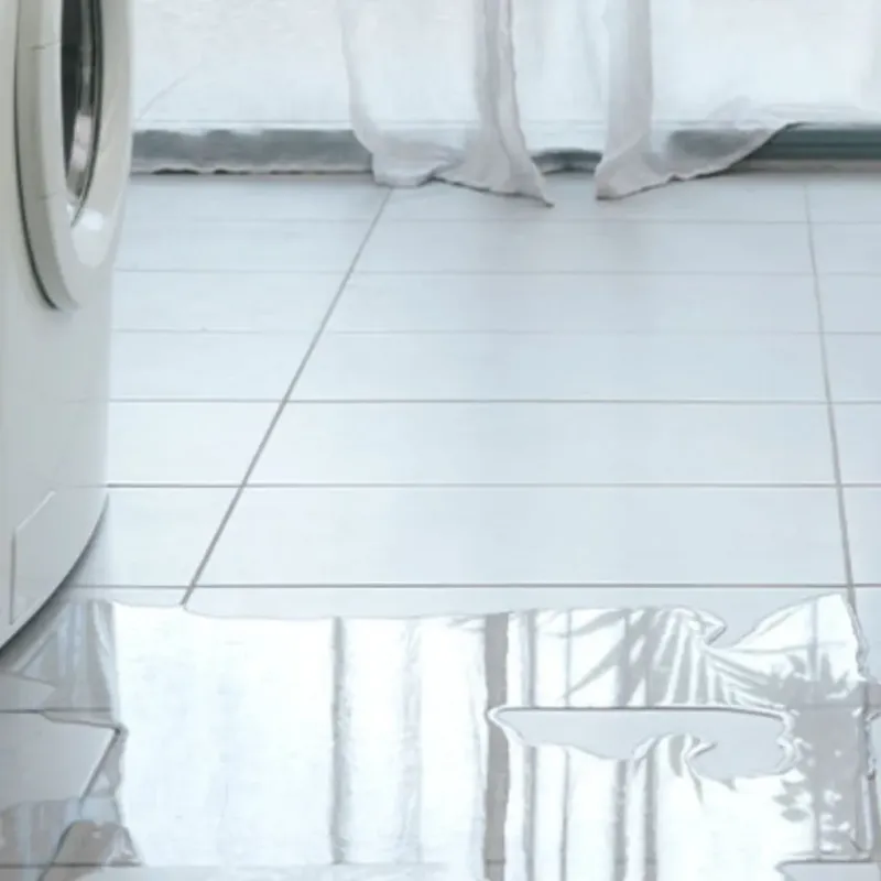 Appliance Leak Cleanup in Ottawa, IL