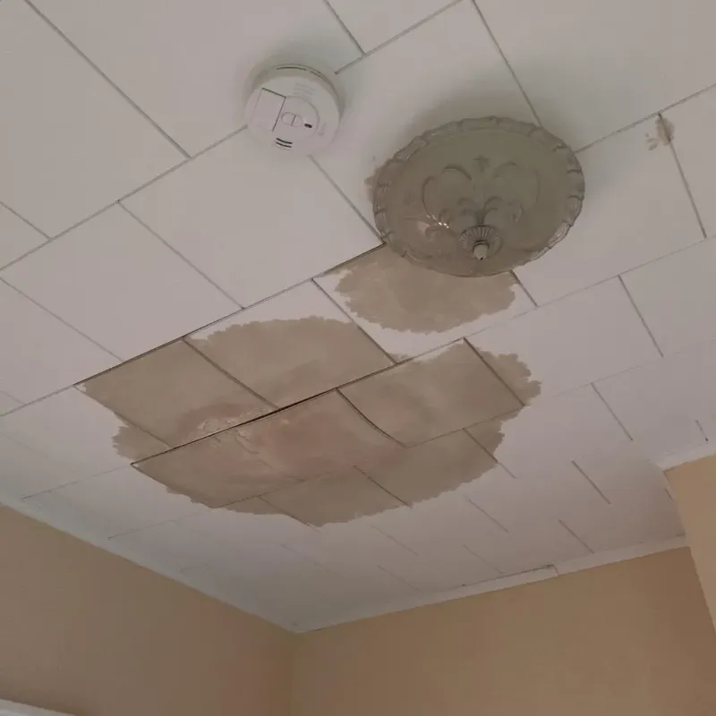 Ceiling Water Damage Repair in Ottawa, IL
