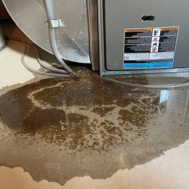 Pipe Burst and Leak Restoration in Ottawa, IL