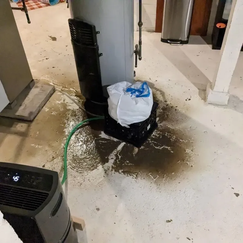 Sewage Backup Cleanup Service in Ottawa, IL